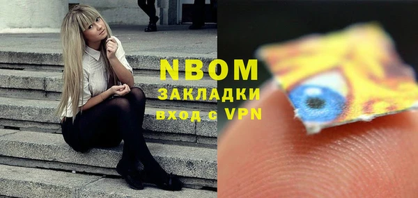 шишки Медногорск
